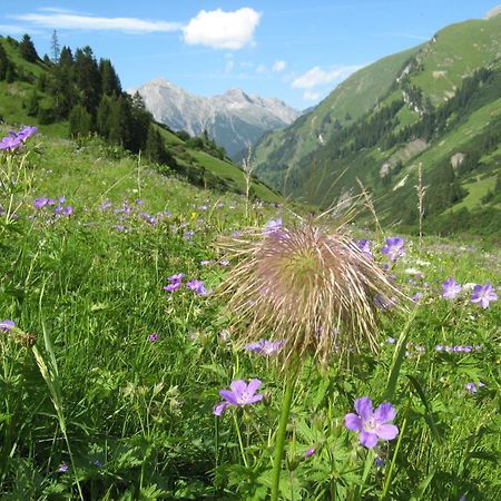Ferienwohnungen Schlichtherle Бах Екстериор снимка
